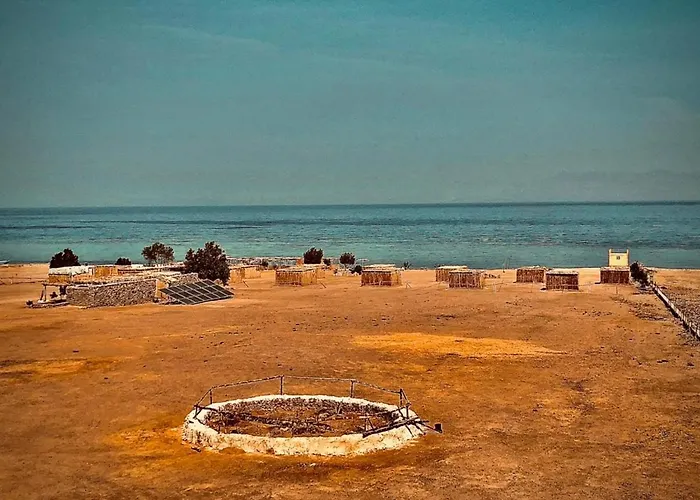 Lala Land Camp
