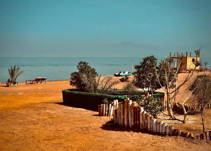 Lala Land Camp *