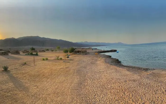 Lala Land Camp Campsite *